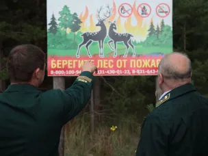 В лесах Нижегородской области с 24 апреля установлен пожароопасный сезон